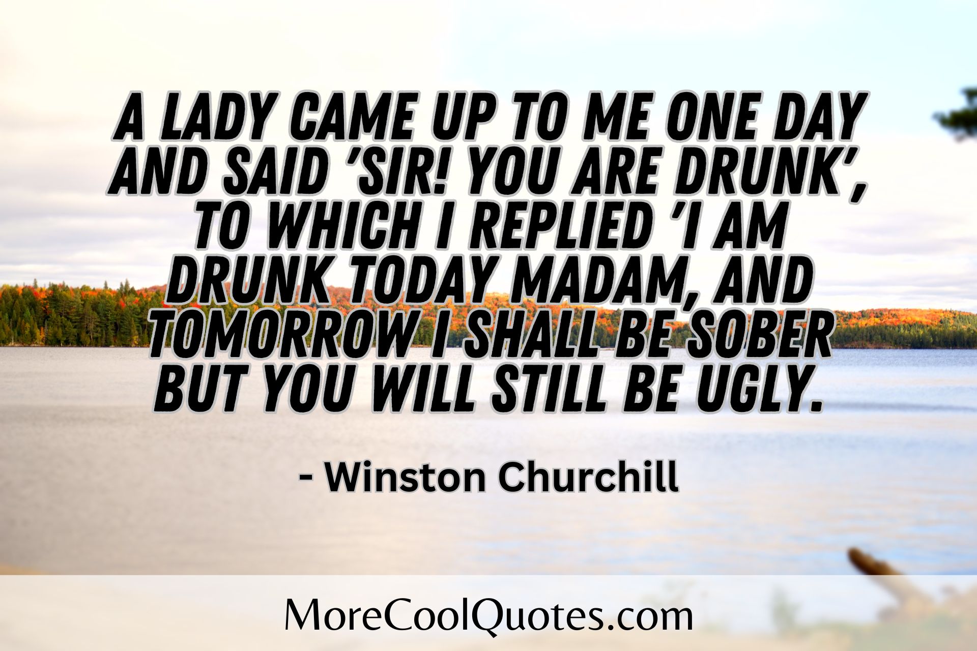 a lady came up to me winston churchill